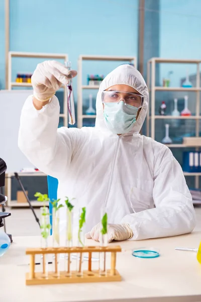 Hombre biotecnológico científico químico que trabaja en el laboratorio —  Fotos de Stock