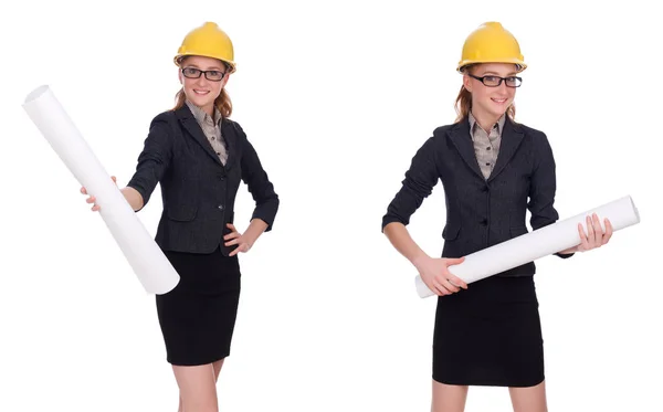 Arquitecta femenina con plano aislado en blanco — Foto de Stock