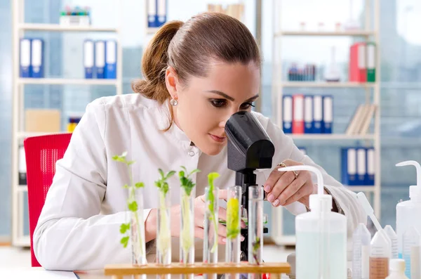 Química cientista biotecnológica do sexo feminino que trabalha no laboratório — Fotografia de Stock