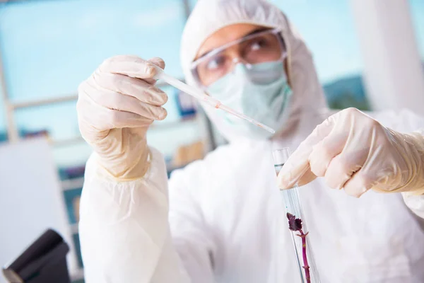 Männlicher Biotechnologie-Wissenschaftler Chemiker im Labor — Stockfoto