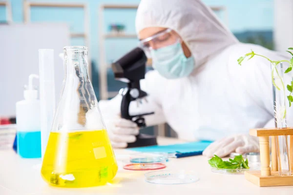 Male biotechnology scientist chemist working in the lab — Stock Photo, Image