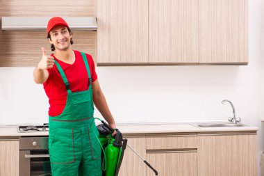 Profesyonel yüklenici mutfak at haşere kontrolü yapıyor