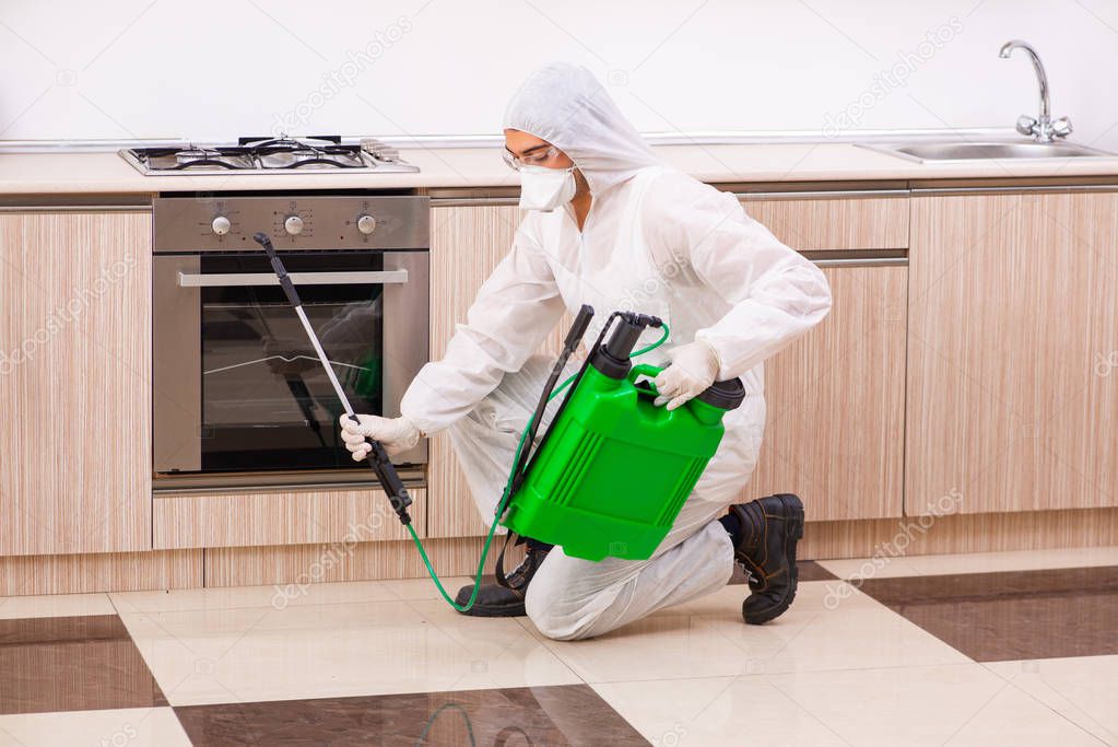 Professional contractor doing pest control at kitchen