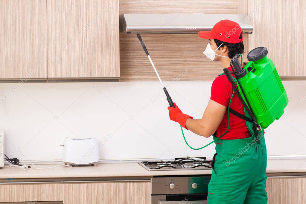 Professional contractor doing pest control at kitchen