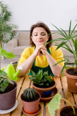 Bitkiler kapalı kadın bahçıvanla 