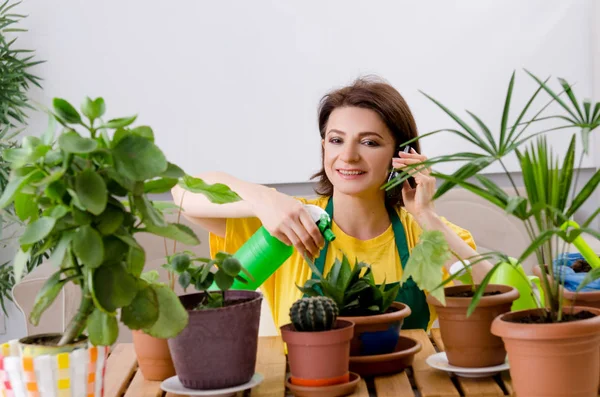 Jardinero femenino con plantas en el interior —  Fotos de Stock