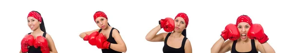 Woman boxer isolated on the white — Stock Photo, Image