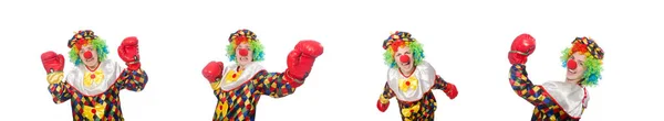 Clown met bokshandschoenen geïsoleerd op wit — Stockfoto