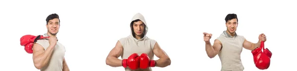 Концепция бокса с молодым спортсменом — стоковое фото