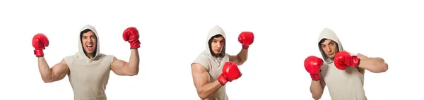 Concepto de boxeo con joven deportista — Foto de Stock
