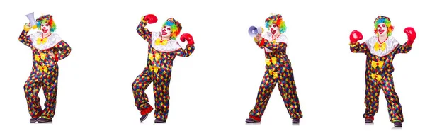 Lustiger Clown mit Boxhandschuhen und Lautsprecher — Stockfoto