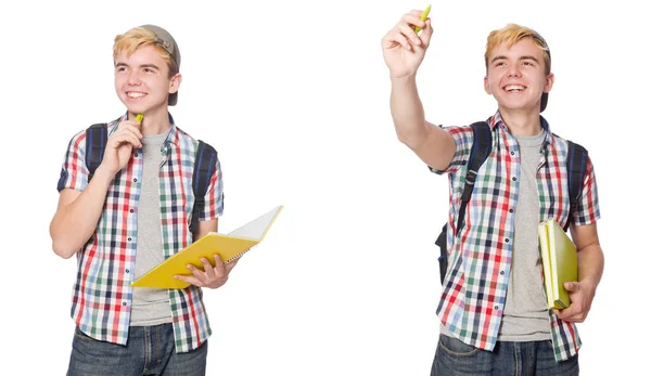 Estudiante con mochila y notas aisladas en blanco — Foto de Stock