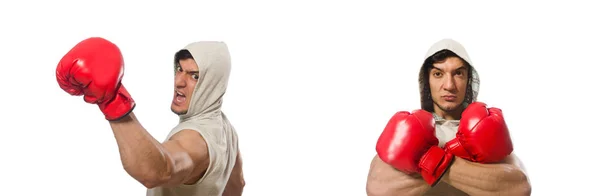 Boxing concept with young sportsman — Stock Photo, Image