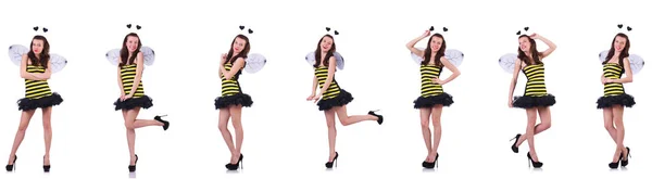 Young woman in bee costume isolated on white — Stock Photo, Image