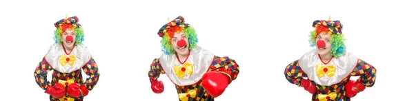 Clown med boxningshandskar isolerade på vitt — Stockfoto