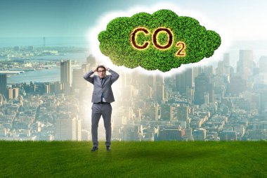 Sera gazı emisyonlarının ekolojik kavram