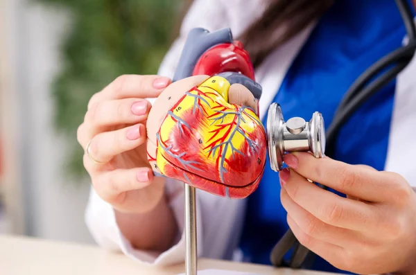 Cardióloga Doctora Que Trabaja Clínica — Foto de Stock