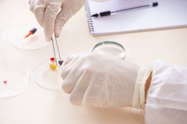 Laboratuarda çalışan genç uzman kriminoloji uzmanı 