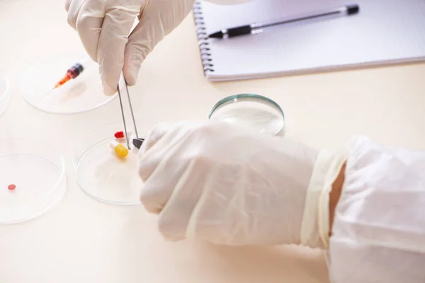 Joven criminólogo experto trabajando en el laboratorio — Foto de Stock