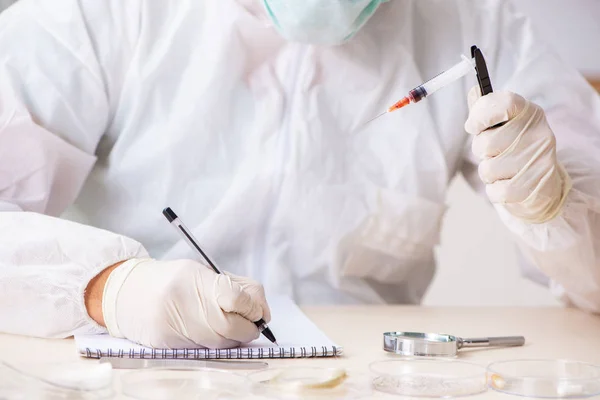 Joven criminólogo experto trabajando en el laboratorio — Foto de Stock