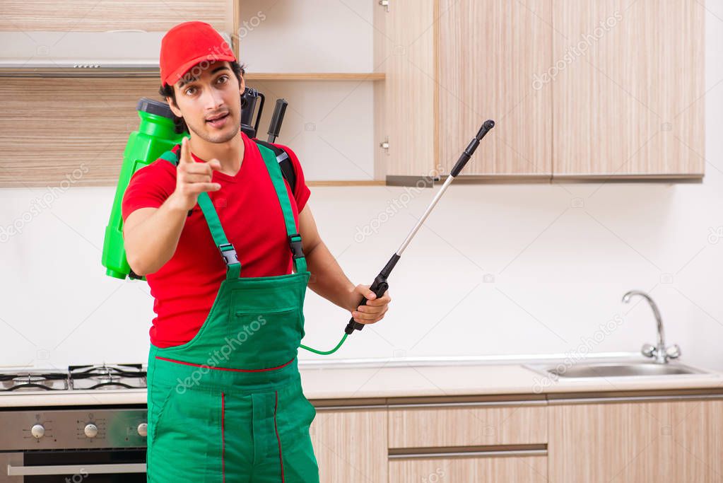 Professional contractor doing pest control at kitchen