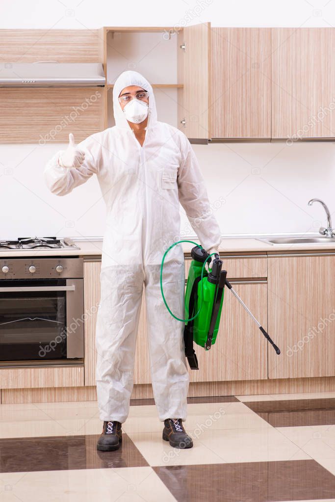 Professional contractor doing pest control at kitchen