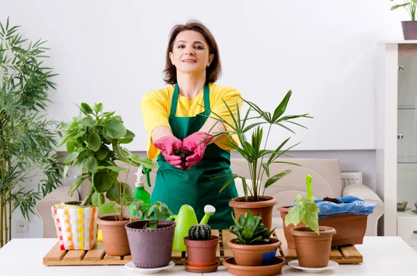 Jardinier femelle avec plantes à l'intérieur — Photo