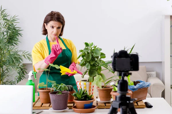 観葉植物の成長を説明する女性ブロガー — ストック写真