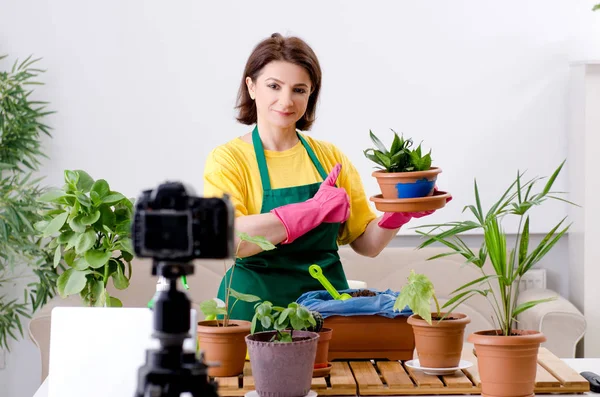 Θηλυκό blogger εξηγώντας houseplants καλλιέργεια — Φωτογραφία Αρχείου