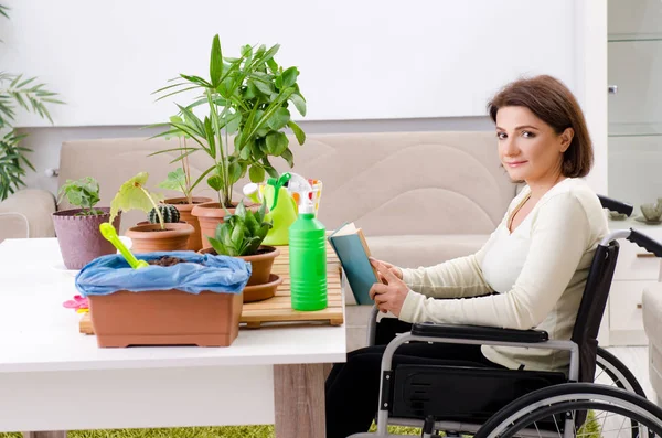 Donna in sedia a rotelle che coltiva piante d'appartamento — Foto Stock