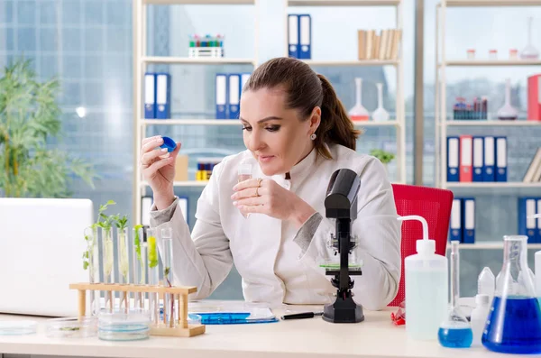 Química cientista biotecnológica do sexo feminino que trabalha no laboratório — Fotografia de Stock