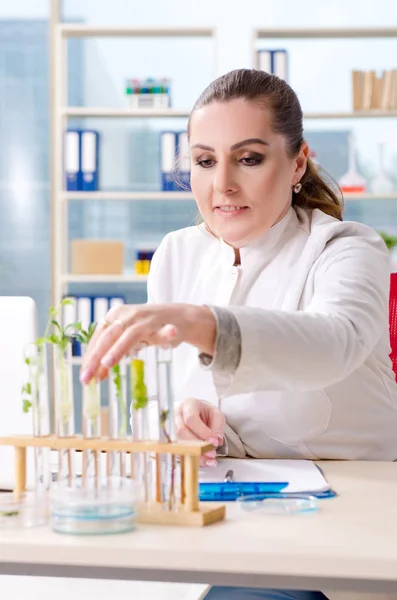 Química cientista biotecnológica do sexo feminino que trabalha no laboratório — Fotografia de Stock