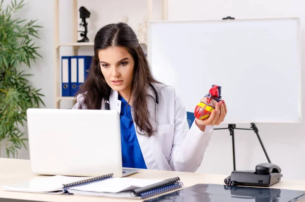 Medico cardiologo femminile che lavora in clinica — Foto Stock