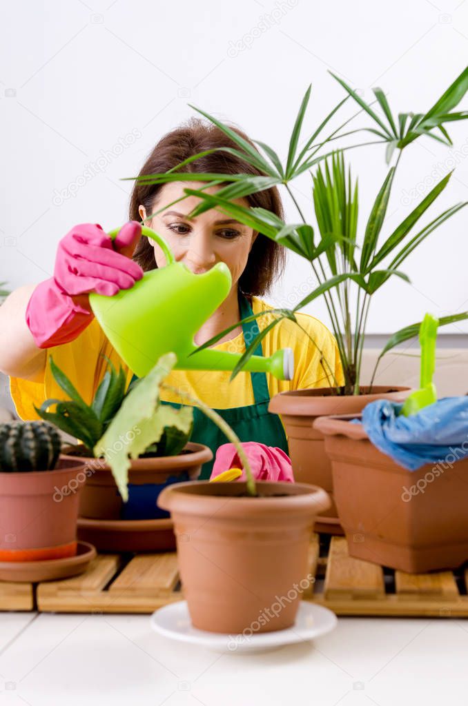 Female gardener with plants indoors 