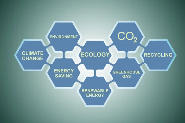 Principales conceptos de ecología dispuestos en matriz — Foto de Stock