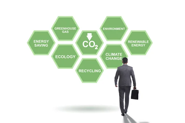 Empresario en ecología y medio ambiente concepto — Foto de Stock