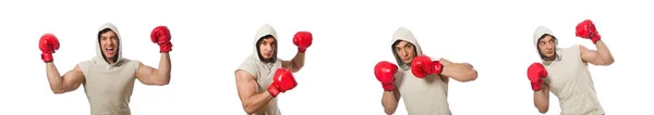 Boxing concept with young sportsman — Stock Photo, Image