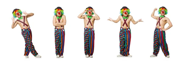 Grappige clown geïsoleerd op de witte achtergrond — Stockfoto