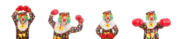 Clown mit Boxhandschuhen isoliert auf weiß — Stockfoto