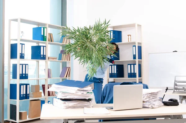 Junge hübsche männliche Angestellte mit zu viel Arbeit im Büro — Stockfoto