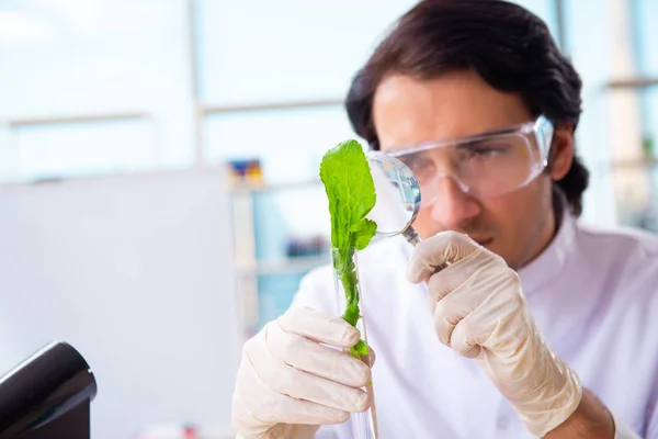 Hombre biotecnológico científico químico que trabaja en el laboratorio — Foto de Stock