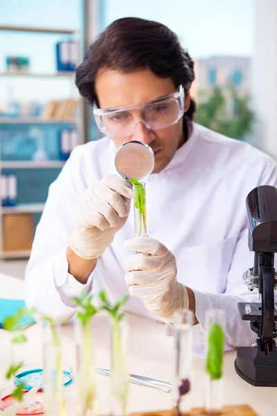 Homme biotechnicien chimiste travaillant dans le laboratoire — Photo
