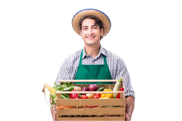 Joven agricultor con productos frescos aislados sobre fondo blanco —  Fotos de Stock