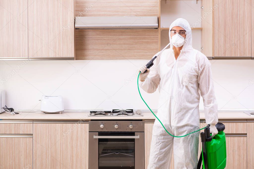 Professional contractor doing pest control at kitchen