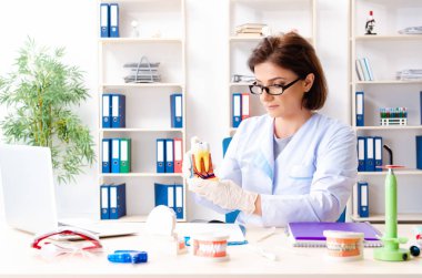 Kadın doktor yeni dişler üzerinde çalışma implant 