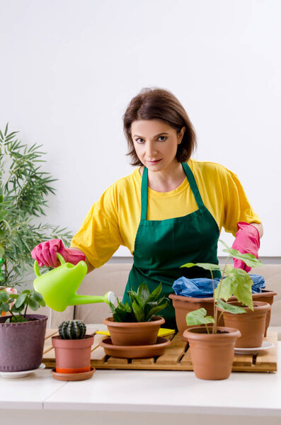 Female gardener with plants indoors 