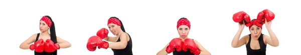 Woman boxer isolated on the white — Stock Photo, Image