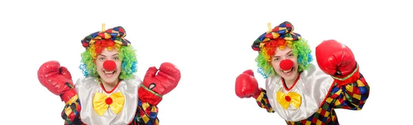Clown con guantoni da boxe isolati su bianco — Foto Stock
