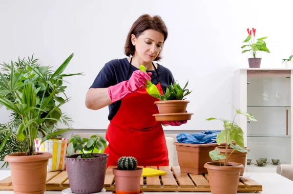 Vrouwelijke tuinman met planten binnenshuis — Stockfoto