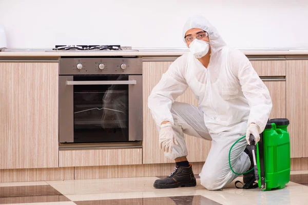 Contratista profesional haciendo control de plagas en la cocina —  Fotos de Stock